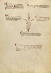 Fiore dei Liberi